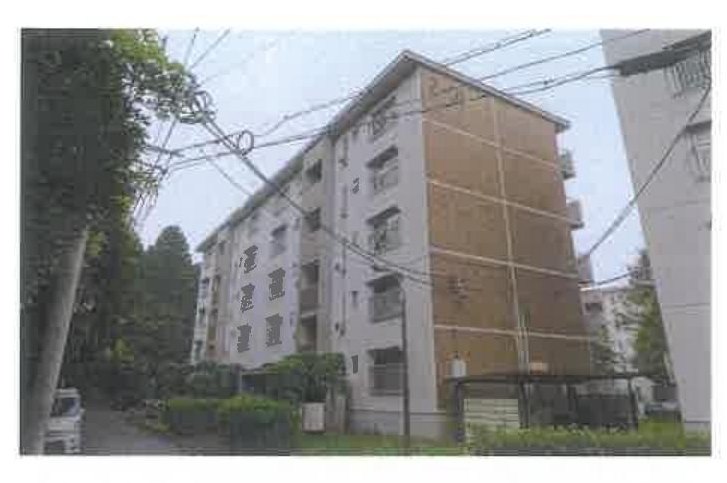 Yachiyo