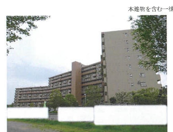 Kashiwa