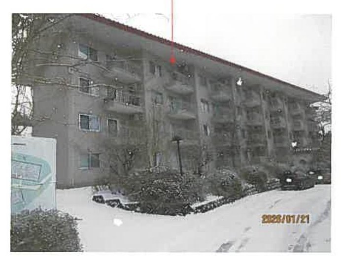Oyama