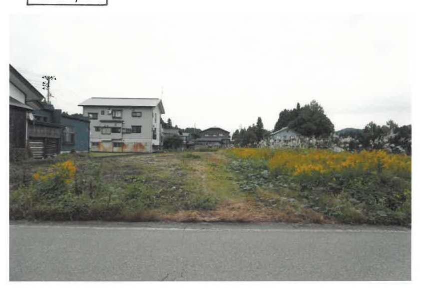 Ojiya