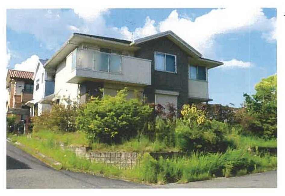 Hashimoto