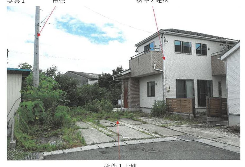 Kani