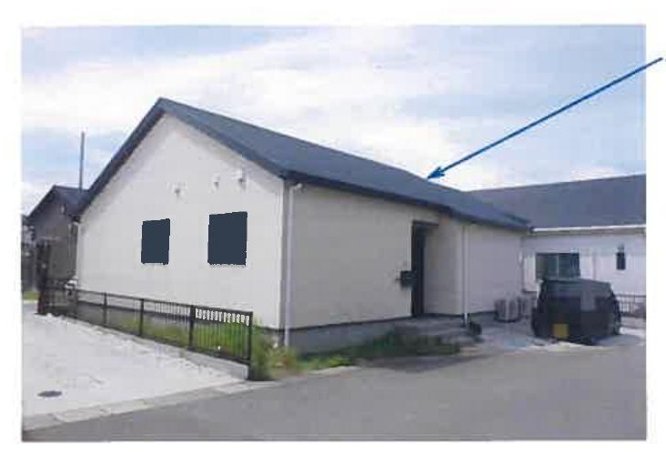 Shunan