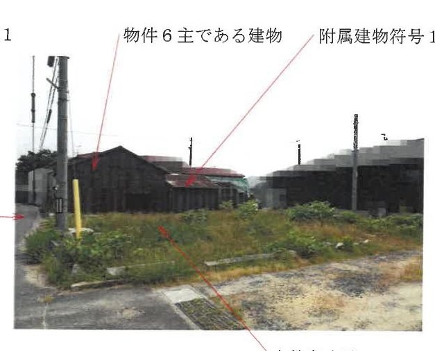 Tamano