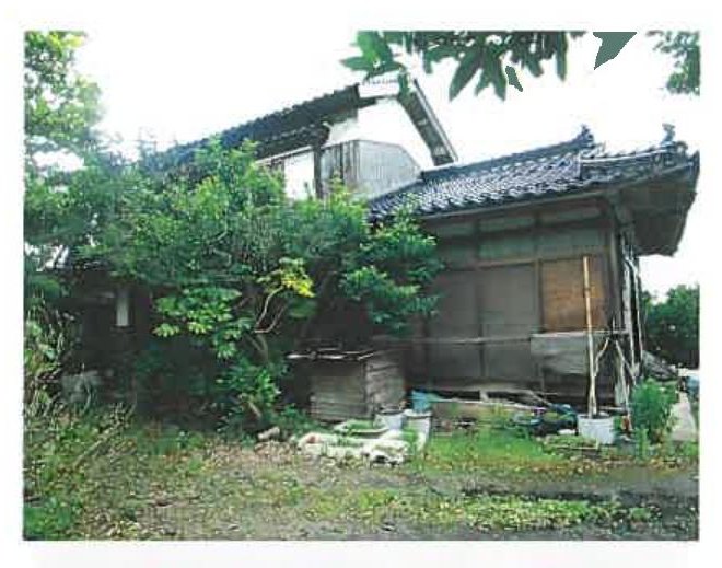 Kotora