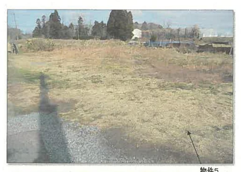 Akita