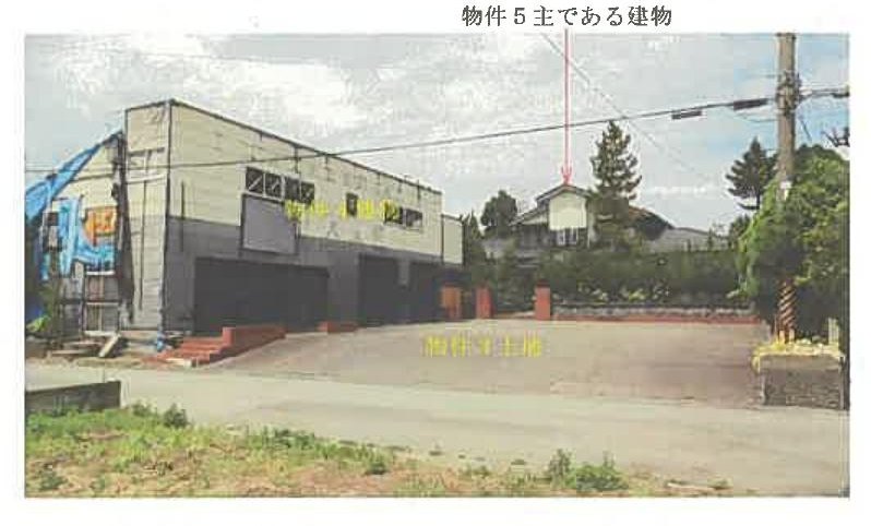 Akita
