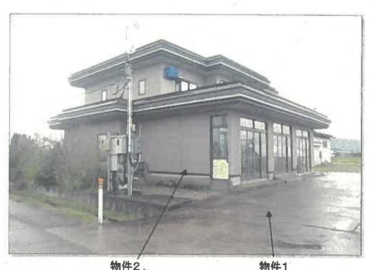 Akita