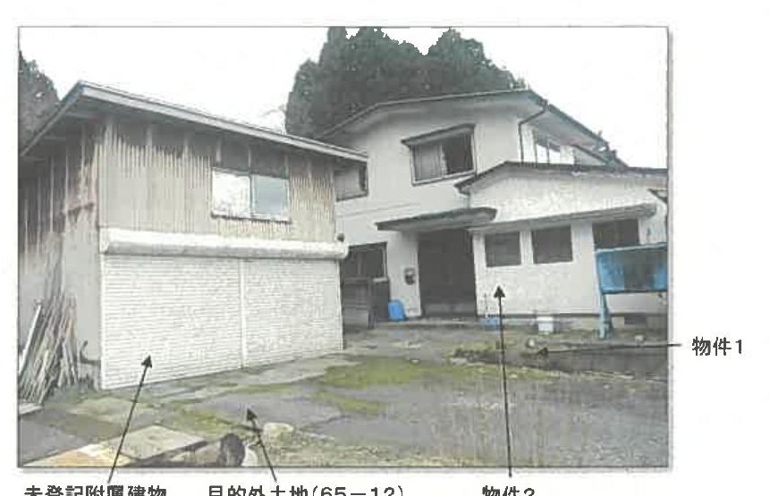 Akita