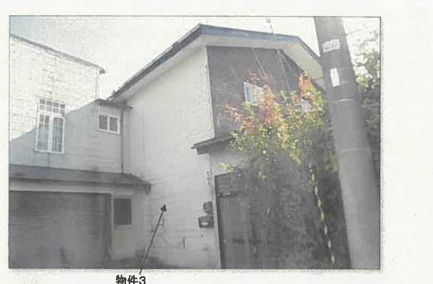 Akita