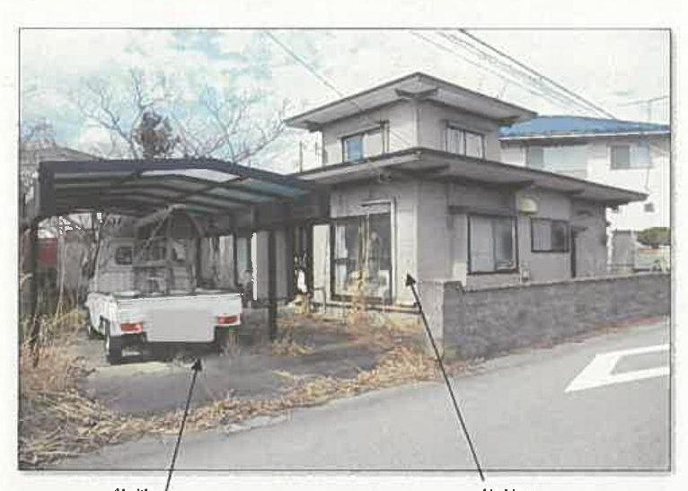 Akita
