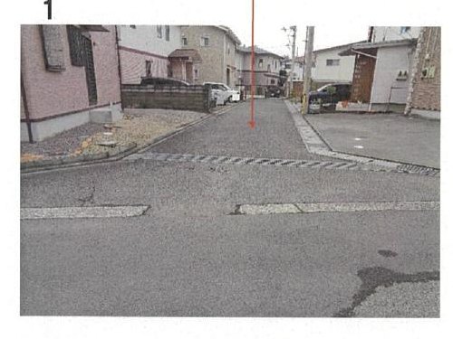 Shikokuchuo